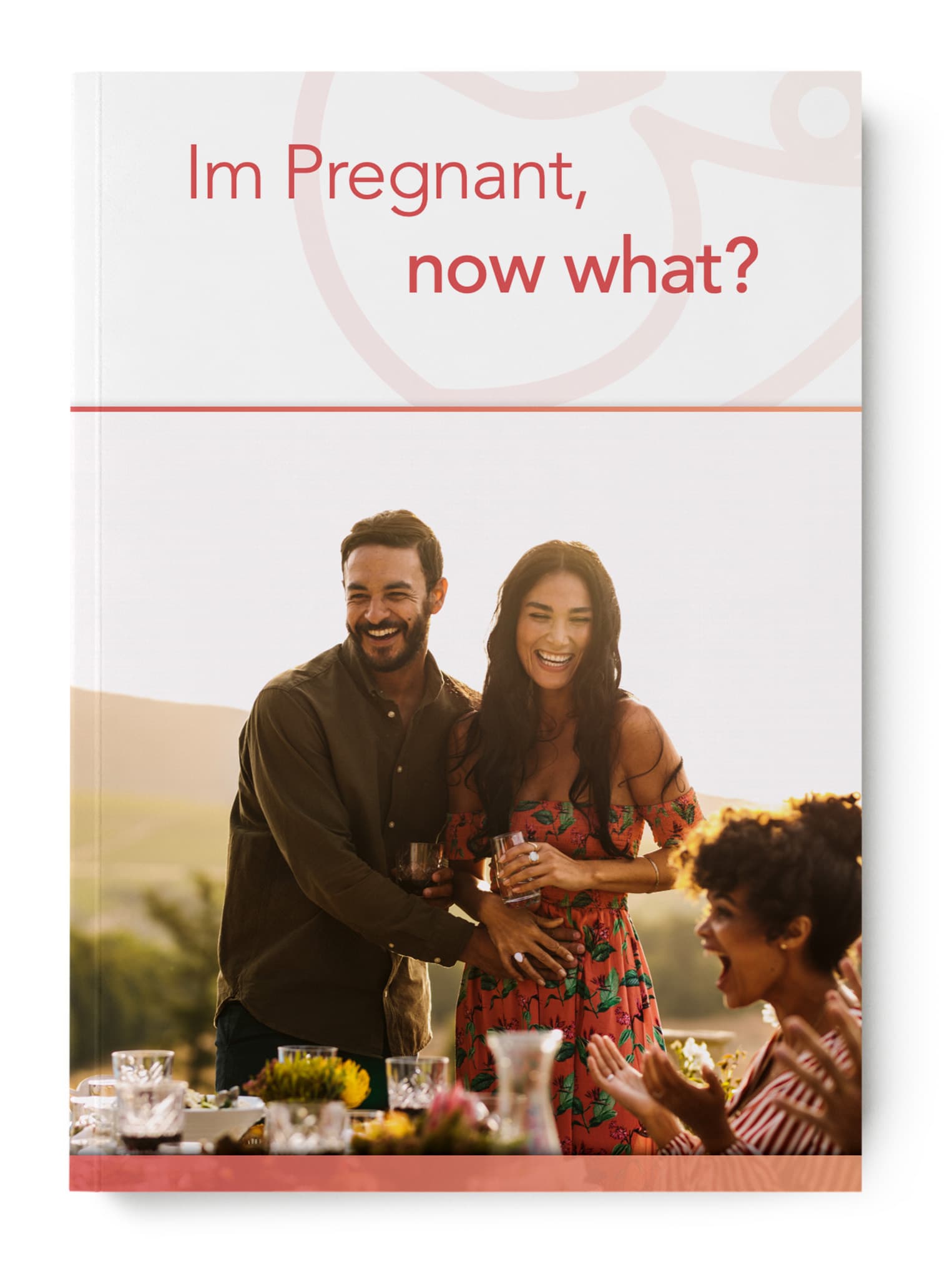 I’m Pregnant, Now What Guide